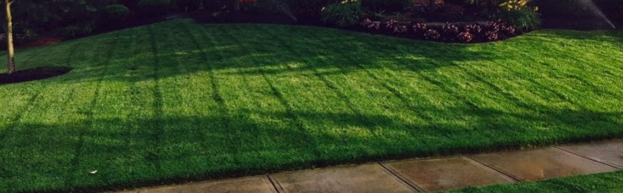 lawn care near me