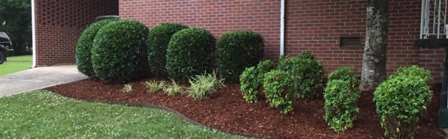 Bush Trimming Service Fayetteville TN